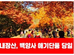 [상품코드 7341]  당일 내장산기차여행 - ★가을단풍★내장산&백양사 애기단풍(중식제공) [용산,천안,서대전,부산,동대구,창원,울산 출발]