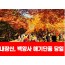 [상품코드 7341]  당일 내장산기차여행 - ★가을단풍★내장산&백양사 애기단풍(중식제공) [용산,천안,서대전,부산,동대구,창원,울산 출발]
