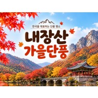 [상품코드 7341]  당일 내장산기차여행 - ★가을단풍★내장산&백양사 애기단풍(중식제공) [용산,천안,서대전,부산,동대구,창원,울산 출발]