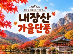 [상품코드 7341]  당일 내장산기차여행 - ★가을단풍★내장산&백양사 애기단풍(중식제공) [용산,천안,서대전,부산,동대구,창원,울산 출발]