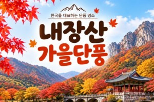 [상품코드 7341]  당일 내장산기차여행 - ★가을단풍★내장산&백양사 애기단풍(중식제공) [용산,천안,서대전,부산,동대구,창원,울산 출발]