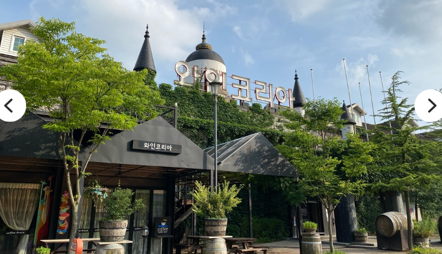 [상품코드 1240] 당일 - 6월 11(목)16(화) 영동 와이너리 투어 / 추풍령 급수탑공원 장미 / 직지사