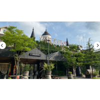 [상품코드 1240] 당일 - 6월 11(목)16(화) 영동 와이너리 투어 / 추풍령 급수탑공원 장미 / 직지사
