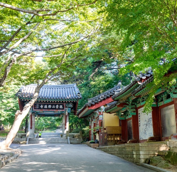 [상품코드6488]  [서해금빛열차/관광택시(우리끼리)] 수덕사&예산시장&예당호 출렁다리 당일 출발확정