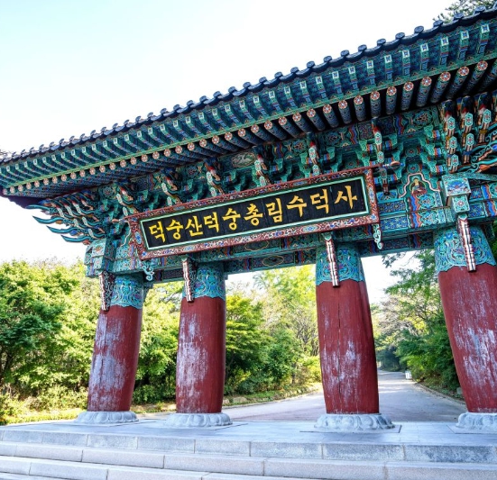 [상품코드6488]  [서해금빛열차/관광택시(우리끼리)] 수덕사&예산시장&예당호 출렁다리 당일 출발확정