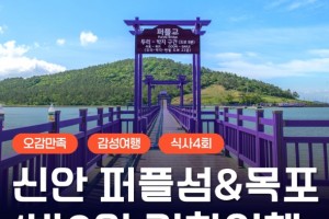 [상품코드 6600] 1박2일 - [KTX] 보라빛 가득! 신안 퍼플섬&자은도&목포 1박2일 기차여행(전일정식사제공(4식)