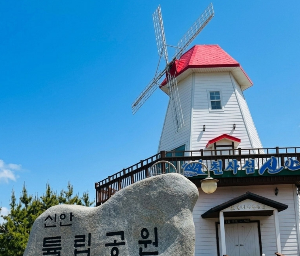 [ 1박2일 - 튤립축제기차여행 ] KTX 신안 임자도 튤립공원+증도+섬티아고 12사도길 1박2일 목포 신안비치호텔 숙박 (가이드동행) 9월~