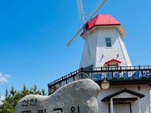 [ 1박2일 - 튤립축제기차여행 ] KTX 신안 임자도 튤립공원+증도+섬티아고 12사도길 1박2일 목포 신안비치호텔 숙박 (가이드동행) 9월~