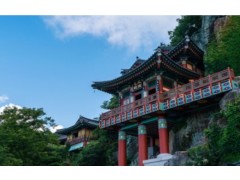 [상품코드 5291] [화요특선]KTX 남도의 맛, 지리산의 쉼 2박3일 웰니스 여행(순천/하동/산청/남원/순창/구례)가이드동행 (전일정식사제공)