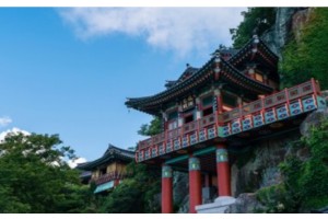 [상품코드 5291] [화요특선]KTX 남도의 맛, 지리산의 쉼 2박3일 웰니스 여행(순천/하동/산청/남원/순창/구례)가이드동행 (전일정식사제공)