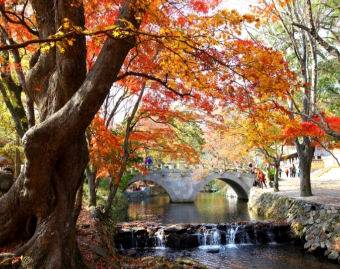 [상품코드 4545] 1박2일 - 선운사기차여행  - [KTX-1박] 맛있고 건강한 고창 선운사·내장산 웰빙별미(전일정식사제공4식)