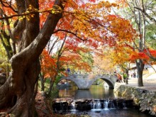 [상품코드 4545] 1박2일 - 선운사기차여행  - [KTX-1박] 맛있고 건강한 고창 선운사·내장산 웰빙별미(전일정식사제공4식)