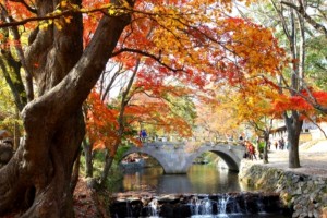 [상품코드 4545] 1박2일 - 선운사기차여행  - [KTX-1박] 맛있고 건강한 고창 선운사·내장산 웰빙별미(전일정식사제공4식)