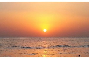 [상품코드 5424]  1박2일 - 외도 신년해돋이 (서울,수원,대전출발] KTX 외도 선상해돋이+울산&부산 1박2일_부산 레이어스호텔 숙박 (가이드동행)