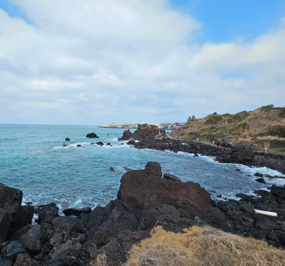 [상품코드 8989]  2박3일 - 제주도여행 [항공] 제주 노팁&노옵션 2박3일 여행 (유람선/승마체험/에코랜드)-6식제공