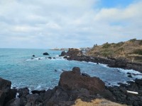 [상품코드 8989]  2박3일 - 제주도여행 [항공] 제주 노팁&노옵션 2박3일 여행 (유람선/승마체험/에코랜드)-6식제공