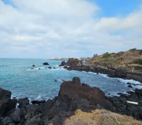 [상품코드 8989]  2박3일 - 제주도여행 [항공] 제주 노팁&노옵션 2박3일 여행 (유람선/승마체험/에코랜드)-6식제공