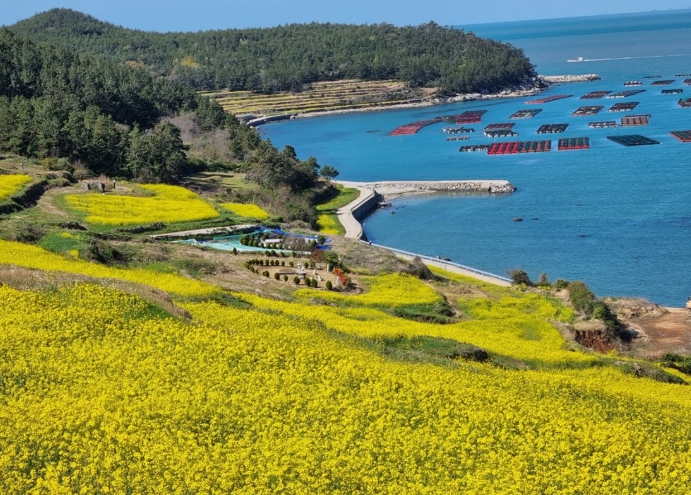 [상품코드 5314] 1박2일 - [ITX-새마을]청산도*완도*해남 대흥사 (청산도 내 숙박) (가이드동행)(수원,평택,천안,서대전탑승)(식사(5식-전일정제공)