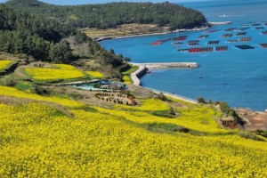 [상품코드 5314] 1박2일 - [ITX-새마을]청산도*완도*해남 대흥사 (청산도 내 숙박) (가이드동행)(수원,평택,천안,서대전탑승)(식사(5식-전일정제공)