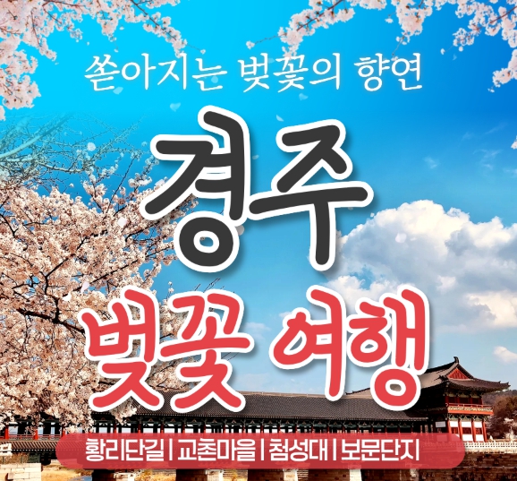 [ 당일 - 경주벚꽃 황리단길기차여행 ] [KTX/봄꽃] 경주 보문단지 왕벚꽃 당일 기차여행 (황리단길 동궁과월지 대릉원 첨성대) 3/21~4/12