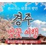 [ 당일 - 경주벚꽃 황리단길기차여행 ] [KTX/봄꽃] 경주 보문단지 왕벚꽃 당일 기차여행 (황리단길 동궁과월지 대릉원 첨성대) 3/21~4/12