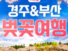 [ 1박2일 -부산여행 + 경주왕벚꽃기차여행 ] - [KTX/봄꽃] 부산 (용궁사/해운대/자갈치시장) & 경주 벚꽃 (황리단길/동궁과월지/보문단지)