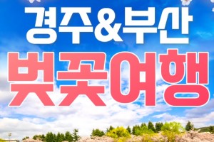 [ 1박2일 -부산여행 + 경주왕벚꽃기차여행 ] - [KTX/봄꽃] 부산 (용궁사/해운대/자갈치시장) & 경주 벚꽃 (황리단길/동궁과월지/보문단지)
