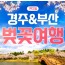 [ 1박2일 -부산여행 + 경주왕벚꽃기차여행 ] - [KTX/봄꽃] 부산 (용궁사/해운대/자갈치시장) & 경주 벚꽃 (황리단길/동궁과월지/보문단지)