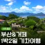 [상품코드 9495] (KTX 수원,대전 출발)부산 명소 & 외도 & 거제모노레일 & 매미성 여행 부산 명소 & 외도 & 거제모노레일 & 매미성 여행(금,토만)