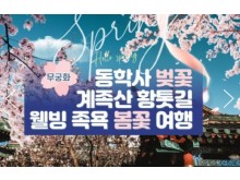 [ 당일 - 봄꽃기차여행 ] 무궁화호 - 계룡산 동학사 벚꽃 & 계족산 황톳길 & 웰빙 족욕 여행