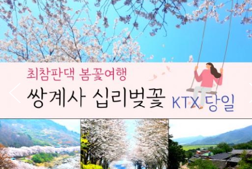 [ 당일 - 화개장터벚꽃기차여행 ] (동대구역출발) KTX - 환상의 쌍계사 십리벚꽃*화개장터 & 최참판댁 봄꽃여행