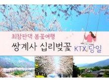 [ 당일 - 화개장터벚꽃기차여행 ] (동대구역출발) KTX - 환상의 쌍계사 십리벚꽃*화개장터 & 최참판댁 봄꽃여행