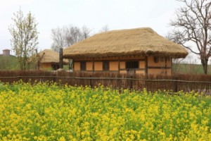 [상품코드 4808] 당일 - 개심사+간월도 여행 ♥봄꽃♥ [수원,평택,천안,아산 출발]몽글몽글 개심사 대왕벚꽃+간월암+해미읍성 (인솔자동행) 4월~