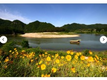 [상품코드 3100] 당일 - (부전,북울산 출발 ) 영월 & 협곡열차 여행 KTX이음] 충절의 고장 영월 & 협곡열차 하루 기차여행 (부산출발)(인솔자동행)