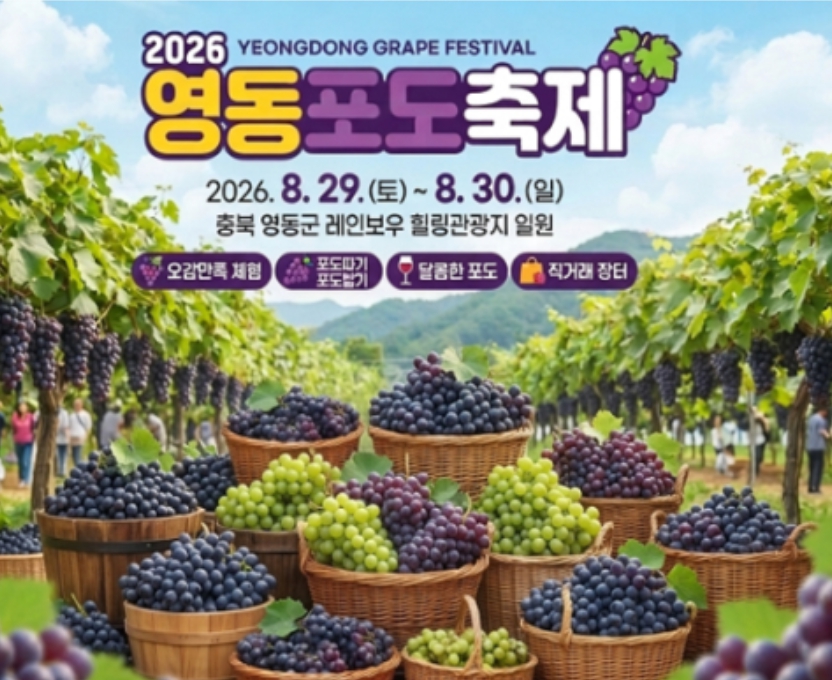 [상품코드 5482] 당일여행  [새마을특별열차]영동포도축제*포도따기체험 [8/29(토) 단 1회]★동두천역출발,청량리,영등포,수원,평택,천안출발★