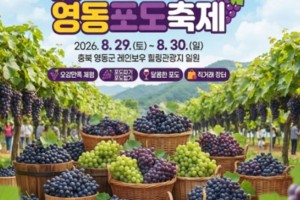 [상품코드 5482] 당일여행  [새마을특별열차]영동포도축제*포도따기체험 [8/29(토) 단 1회]★동두천역출발,청량리,영등포,수원,평택,천안출발★