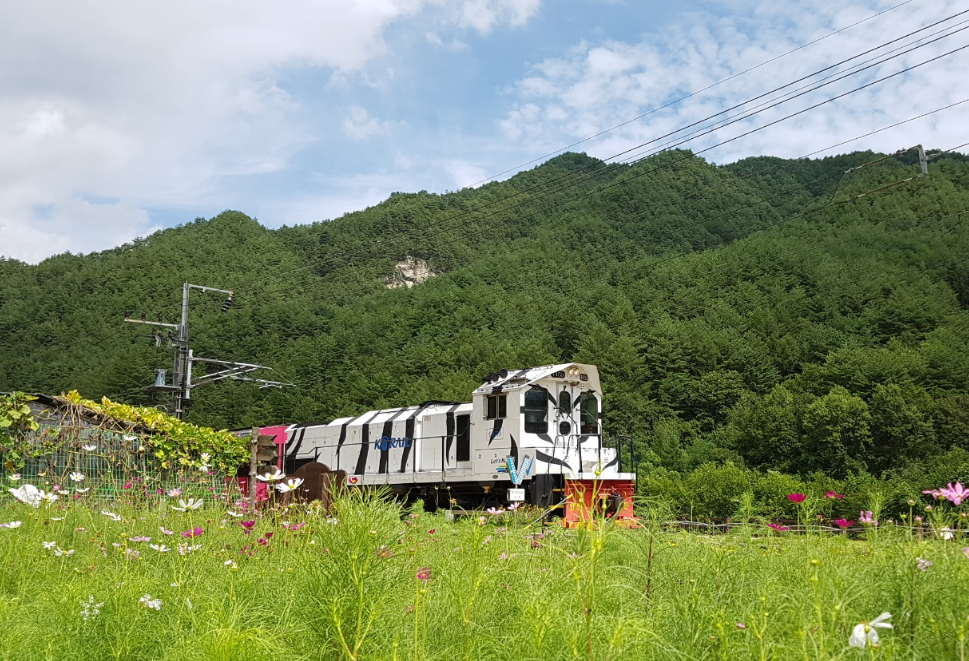 [상품코드 5974] 당일 - 정동진 바다+협곡열차(V-train)+철암-승부-양원-분천-소수서원[당일여행] 2식(중/석식)제공(가이드동행)