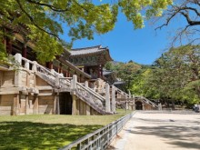 [상품코드 5369] 2박3일 - 연휴특선 부울경 삼색기행 -경주/부산/울산 -울산 호텔 다움  KTX / SRT 5월 1(금) 3(일) 5(화)  @경상환타지아(가이드동행)(전일정식사제공8식)