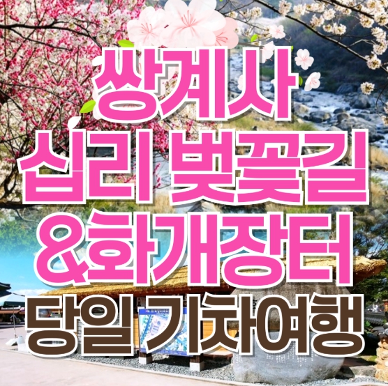 [상품코드 6699] 당일 - 화개장터+최참판댁여행 [KTX/봄꽃] 2026 화계장터 벚꽃축제&쌍계사 십리벚꽃길 당일 기차여행