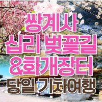 [상품코드 6699] 당일 - 화개장터+최참판댁여행 [KTX/봄꽃] 2026 화계장터 벚꽃축제&쌍계사 십리벚꽃길 당일 기차여행