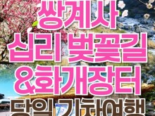 [상품코드 6699] 당일 - 화개장터+최참판댁여행 [KTX/봄꽃] 2026 화계장터 벚꽃축제&쌍계사 십리벚꽃길 당일 기차여행
