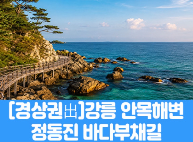 [상품코드 7979] [경남,대구,경북출발] 강릉 안목해변 & 정동진 바다부채길(중식제공) 가이드동행 4명출발확정