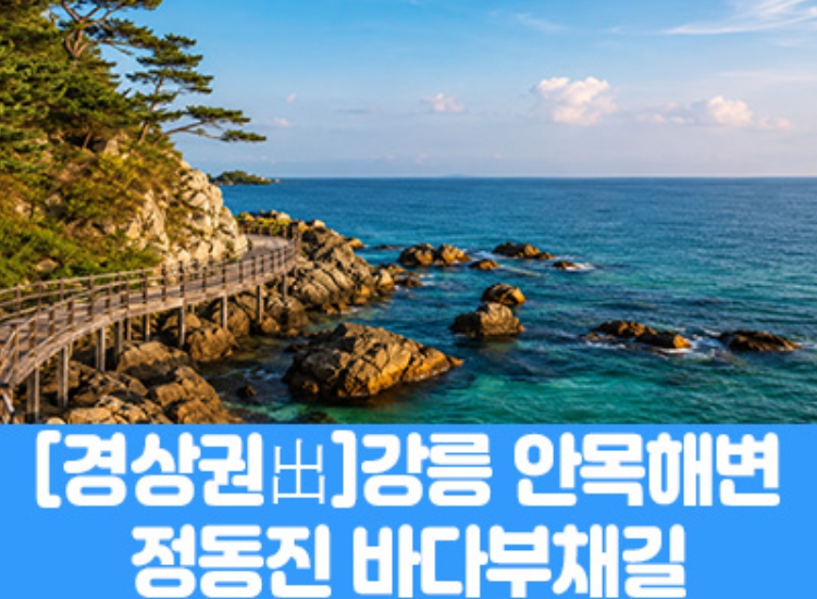 [상품코드 7979] [경남,대구,경북출발] 강릉 안목해변 & 정동진 바다부채길(중식제공) 가이드동행 4명출발확정