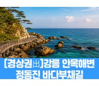 [상품코드 7979] [경남,대구,경북출발] 강릉 안목해변 & 정동진 바다부채길(중식제공) 가이드동행 4명출발확정