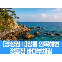 [상품코드 7979] [경남,대구,경북출발] 강릉 안목해변 & 정동진 바다부채길(중식제공) 가이드동행 4명출발확정