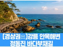 [상품코드 7979] [경남,대구,경북출발] 강릉 안목해변 & 정동진 바다부채길(중식제공) 가이드동행 4명출발확정