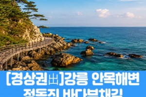 [상품코드 7979] [경남,대구,경북출발] 강릉 안목해변 & 정동진 바다부채길(중식제공) 가이드동행 4명출발확정