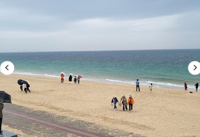 [상품코드 6500]   [당일/레트로낭만열차] 충남으로 떠나는 추억의 레트로 낭만 열차 [보령편] 8/23(일) 출발확정 ~~