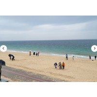 [상품코드 6500]   [당일/레트로낭만열차] 충남으로 떠나는 추억의 레트로 낭만 열차 [보령편] 8/23(일) 출발확정 ~~