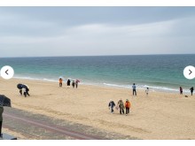 [상품코드 6500]   [당일/레트로낭만열차] 충남으로 떠나는 추억의 레트로 낭만 열차 [보령편] 8/23(일) 출발확정 ~~